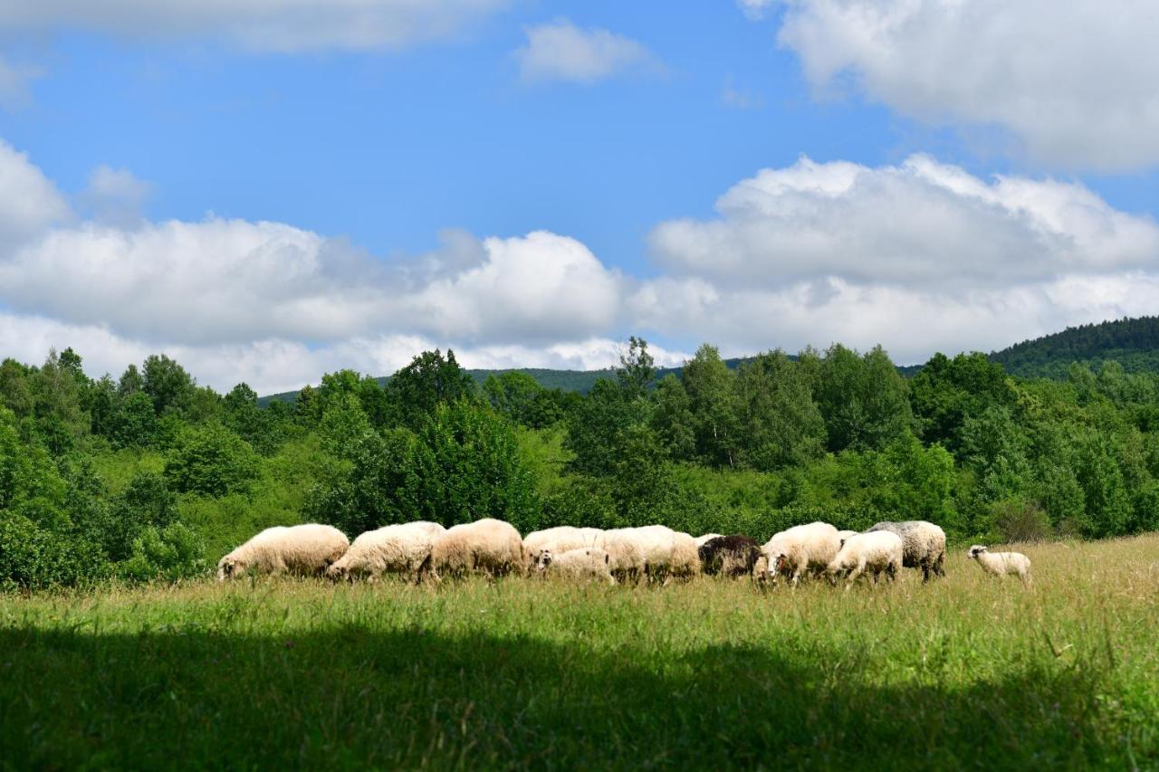 Natura Hause Rakovica Dış mekan fotoğraf