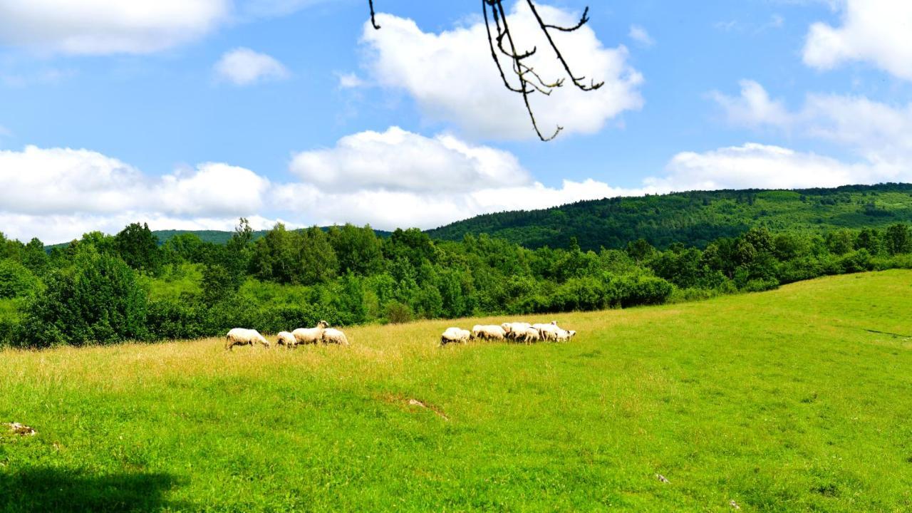 Natura Hause Rakovica Dış mekan fotoğraf
