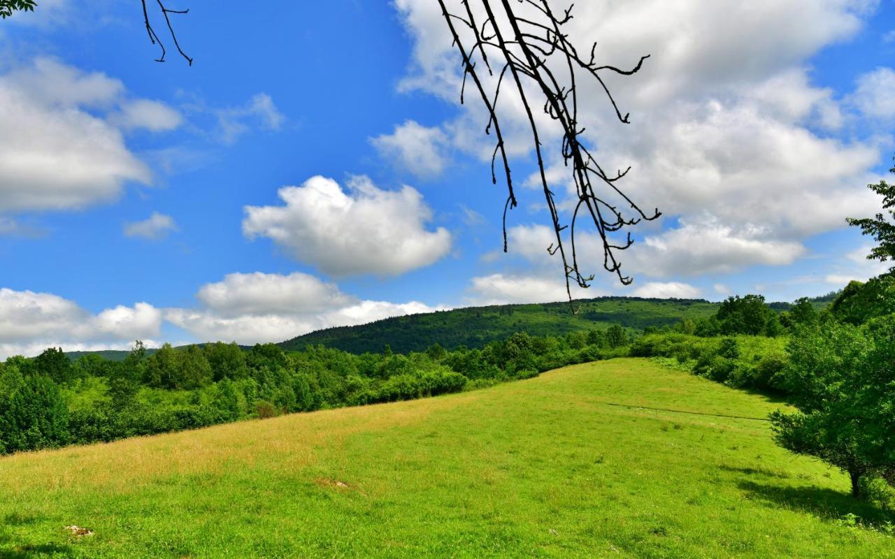 Natura Hause Rakovica Dış mekan fotoğraf