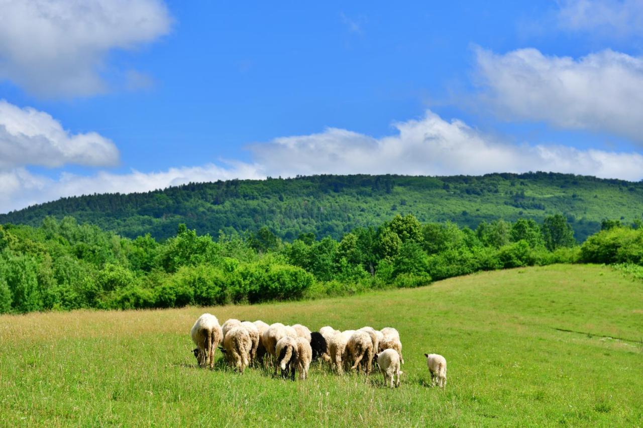Natura Hause Rakovica Dış mekan fotoğraf